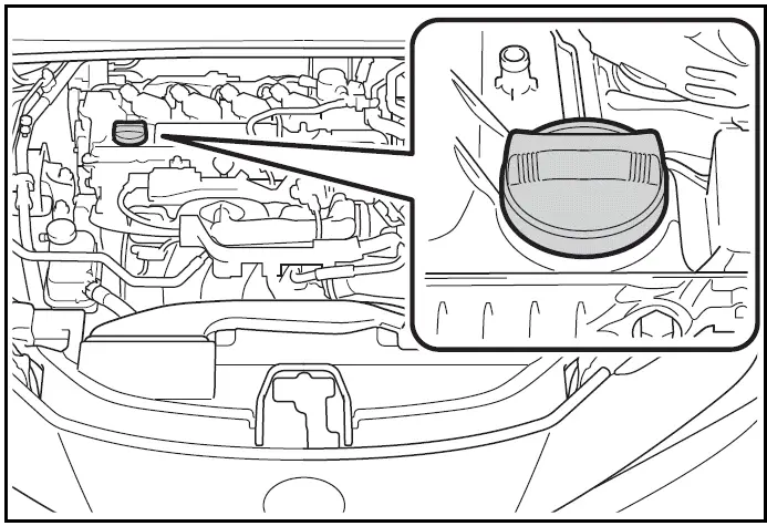 Adding engine oil  Toyota Prius 2024