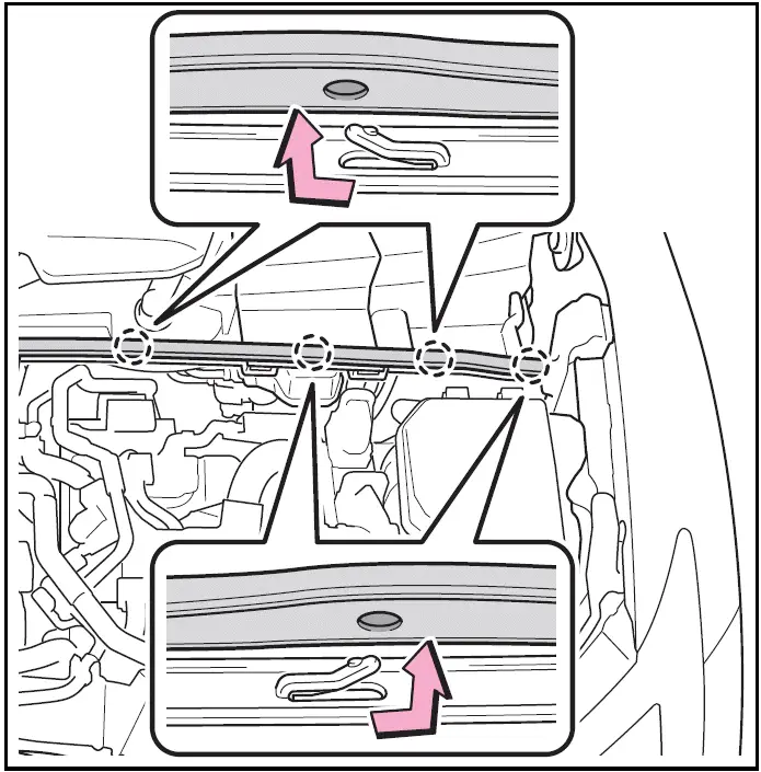 Adding fluid / Toyota Prius 2024