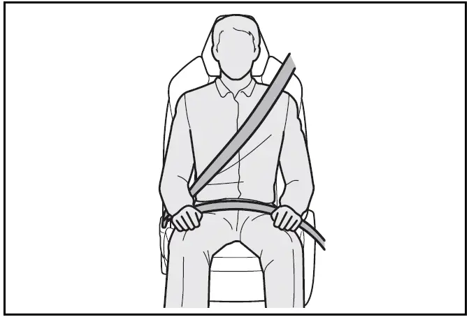 Correct use of the seat belts - Toyota Prius 2024-2025