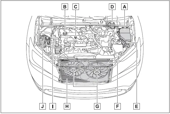 Engine compartment -  Toyota Prius 2024-2025