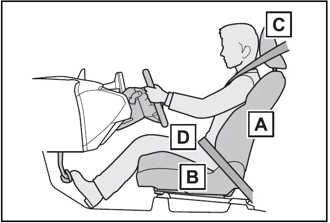 Correct driving posture - Toyota Prius 2024-2025