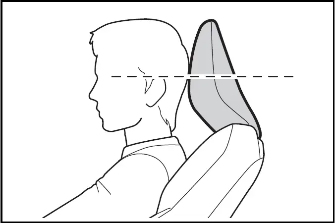 Adjusting the height of the head restraints - Prius 2024-2025