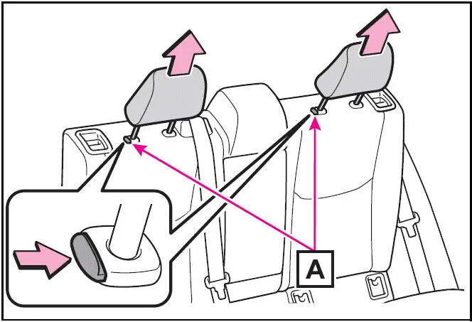 Rear outboard seats - Prius 2024-2025