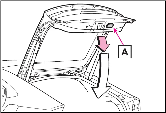 Using the back door handle - Toyota Prius 2025-2025